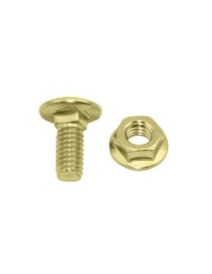 Spring Fork Top Bolt/Nut Gold.